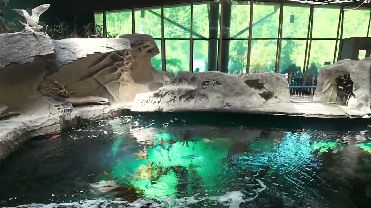 Vancouver Aquarium