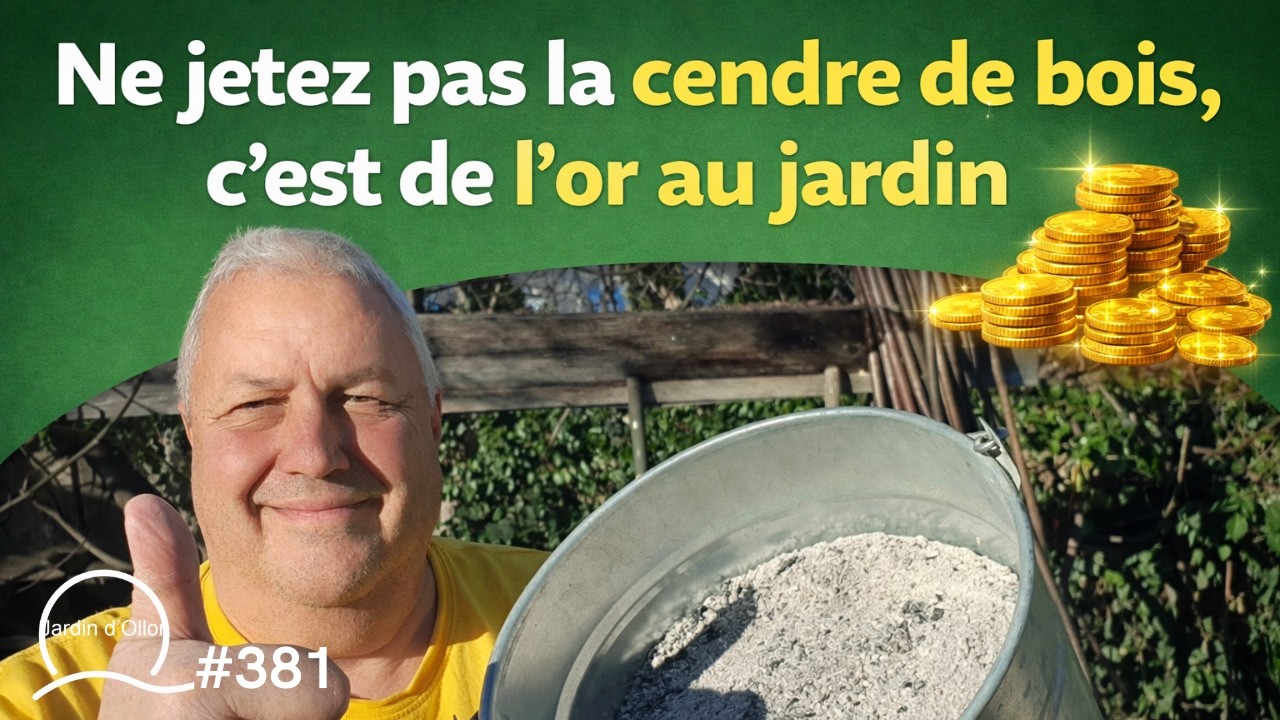 #381-Ne jetez pas la cendre de bois, c'est de l'or au jardin !