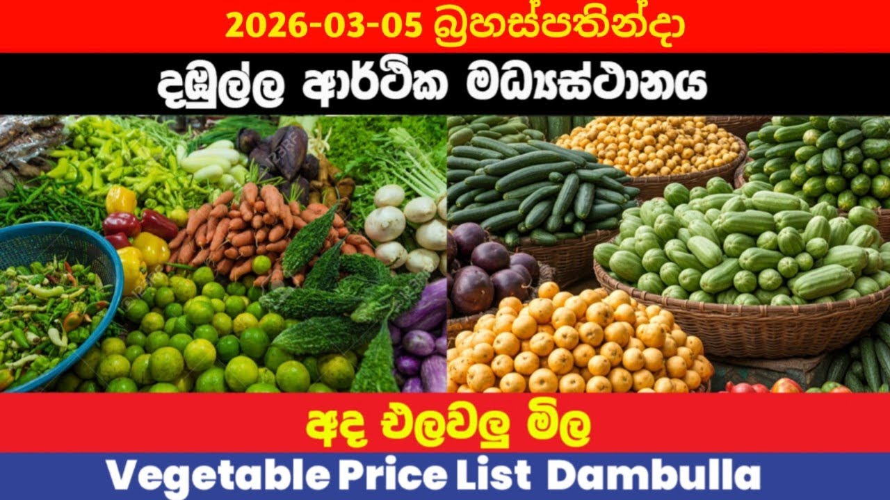 2026.03.05|දඹුල්ල එළවලු මිල |Dambulla Vegetable Price Today|Ada Dambulla elawalu mila
