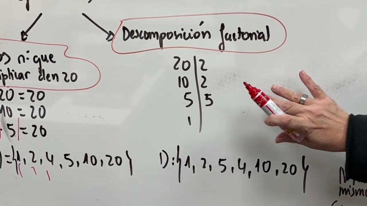 Múltiplos y divisores | Matemáticas 1º ESO