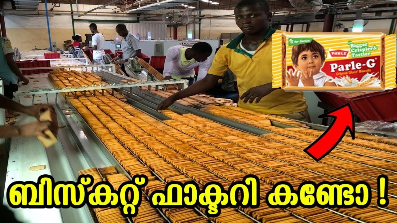 Parle - G Biscuit Factory Process | ബിസ്കറ്റ് ഉണ്ടാക്കുന്ന ഫാക്ടറി | Tell Me Why Malayalam