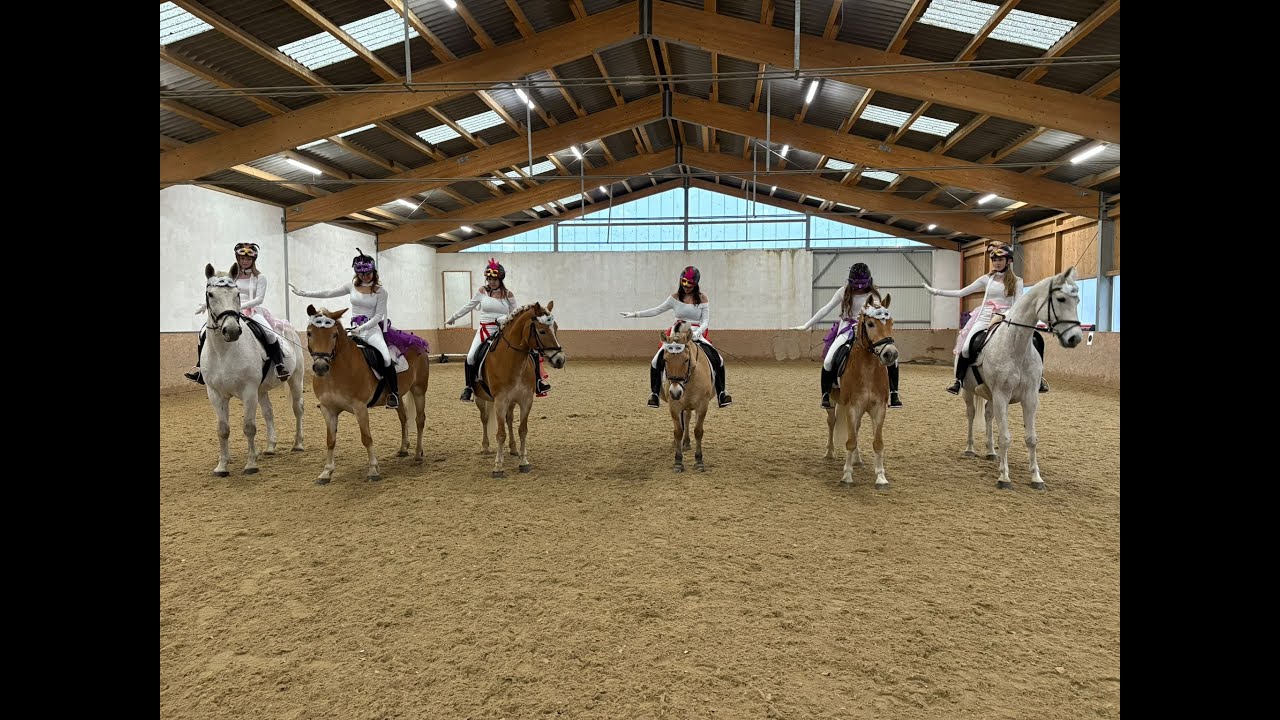 NOEPS Weihnachtsreiten-Wettbewerb 2025: Platz 2 Shetty Farm (Kategorie Quadrille)