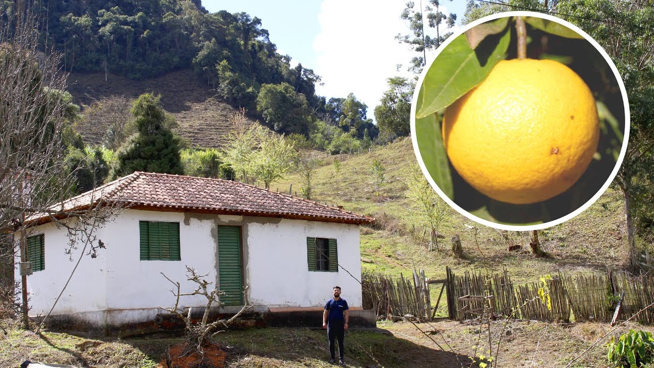 VENDIDA - LINDA OPORTUNIDADE DE 11 MIL M² COM CASA PERTINHO DE TUDO EM MARMELÓPOLIS, MG POR 220 MIL