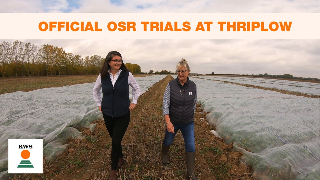 Official OSR trials at Thriplow
