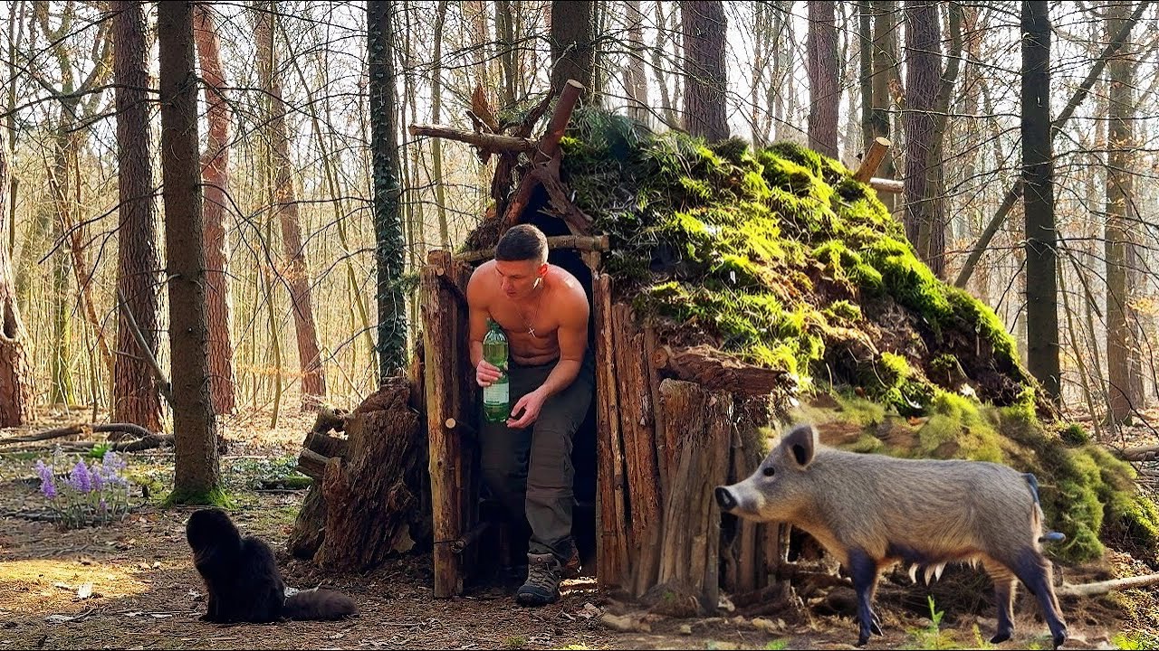 Опасная ночь в дикой хижине с моим котом