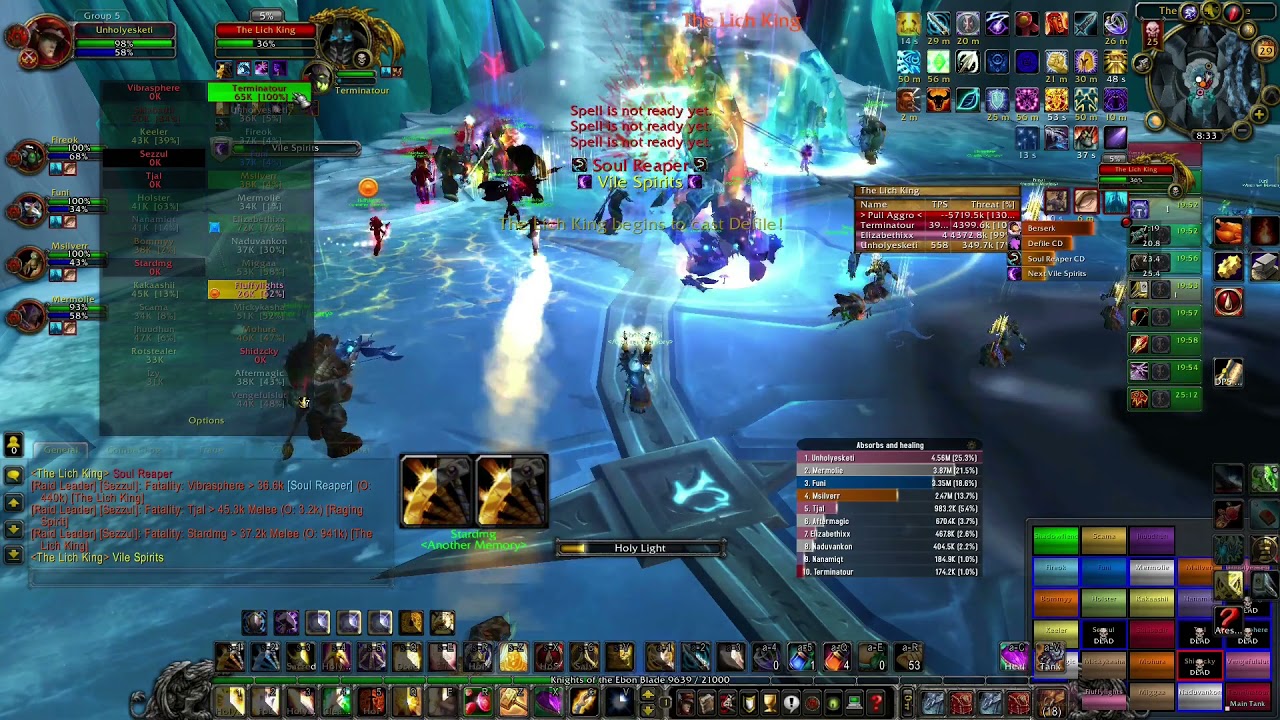 1st Time Holy Paladin 30% LoD PoV