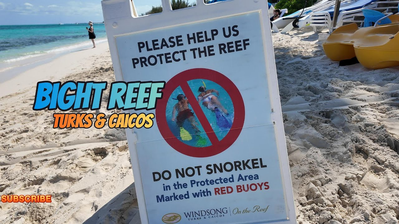 Bight Reef 'Coral Gardens' Turks & Caicos 2025 4k walking tour