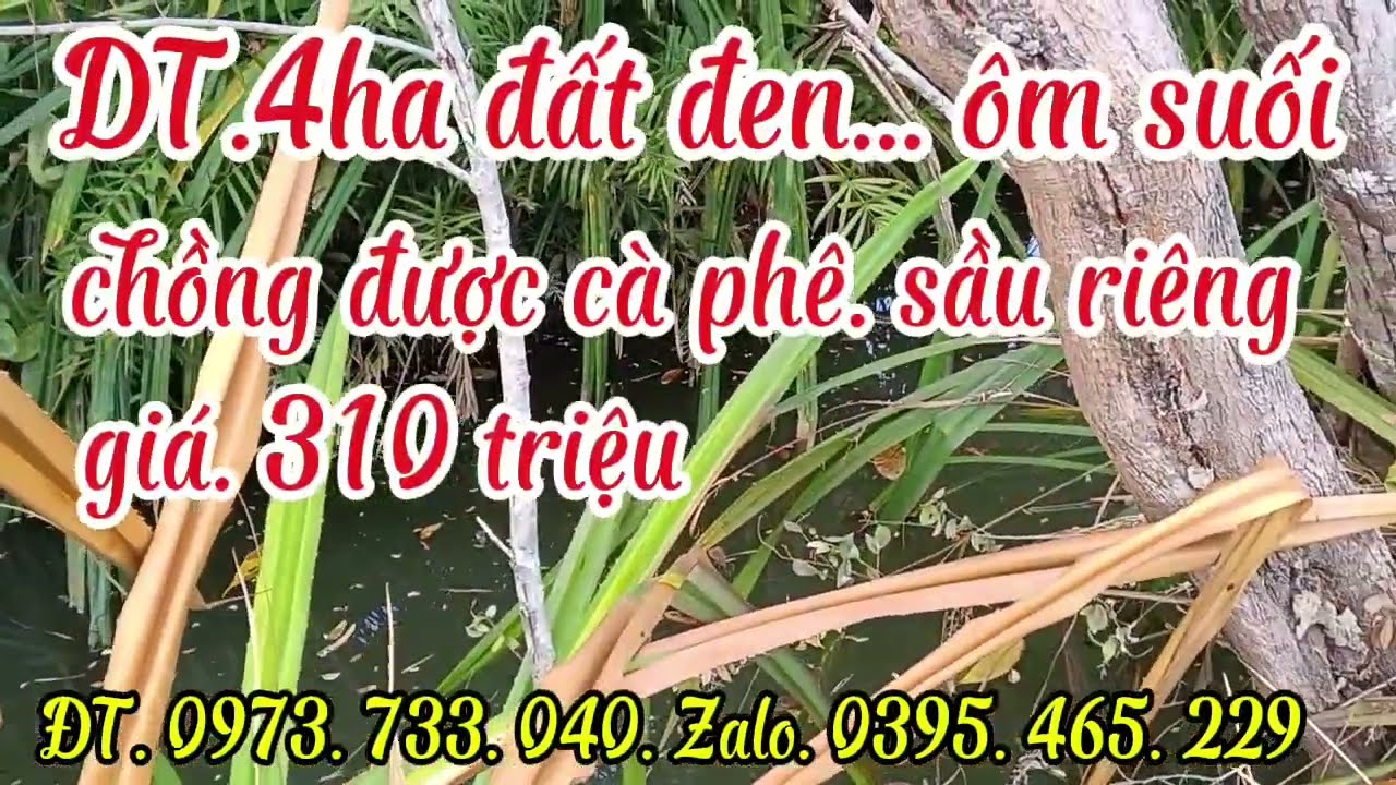 Chủ cần sang nhượng.DT. 4 ha đất đen.ôm suối. Nguồn nước ổn định. Giá 310 triệu.