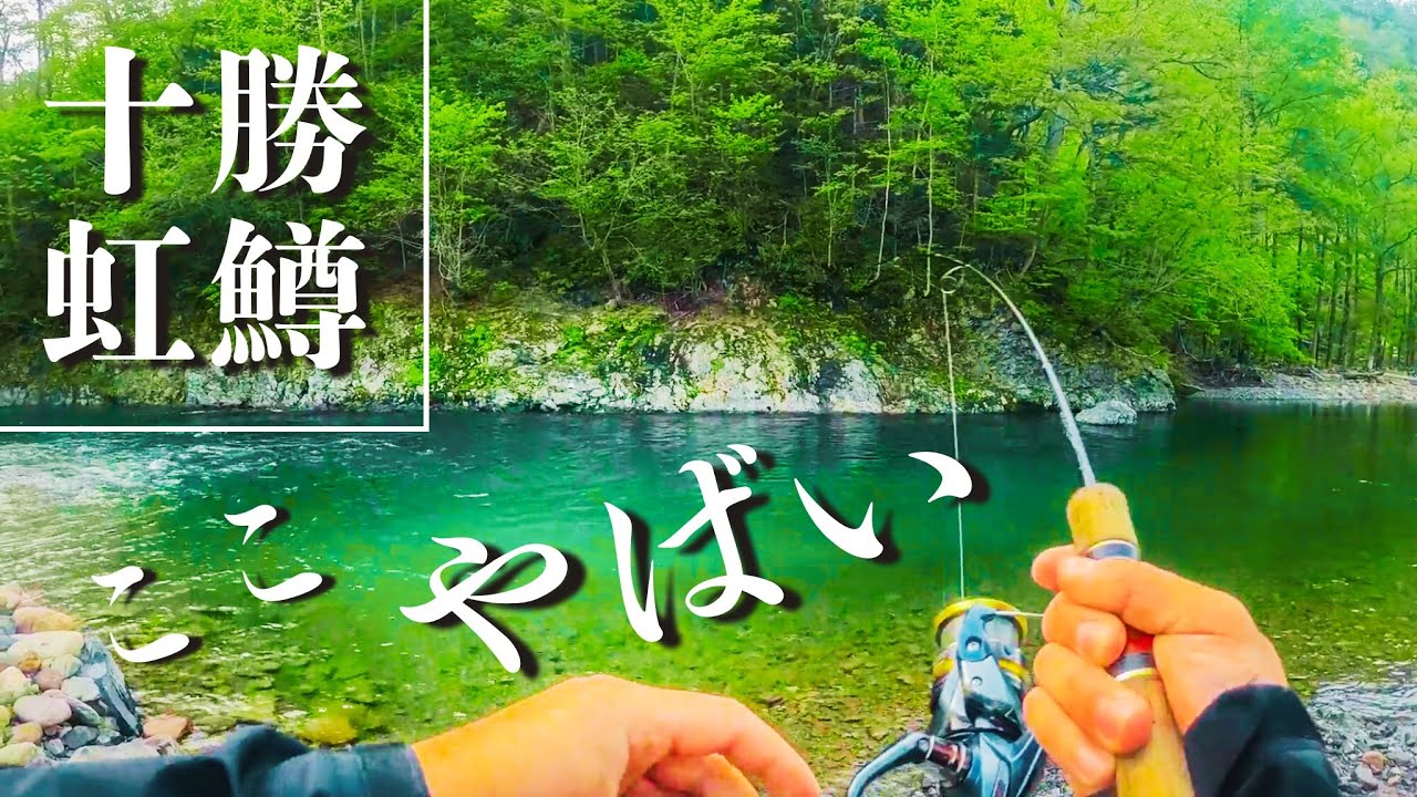 【ニジマス】十勝の秘境でネイティブトラウトを狙う！