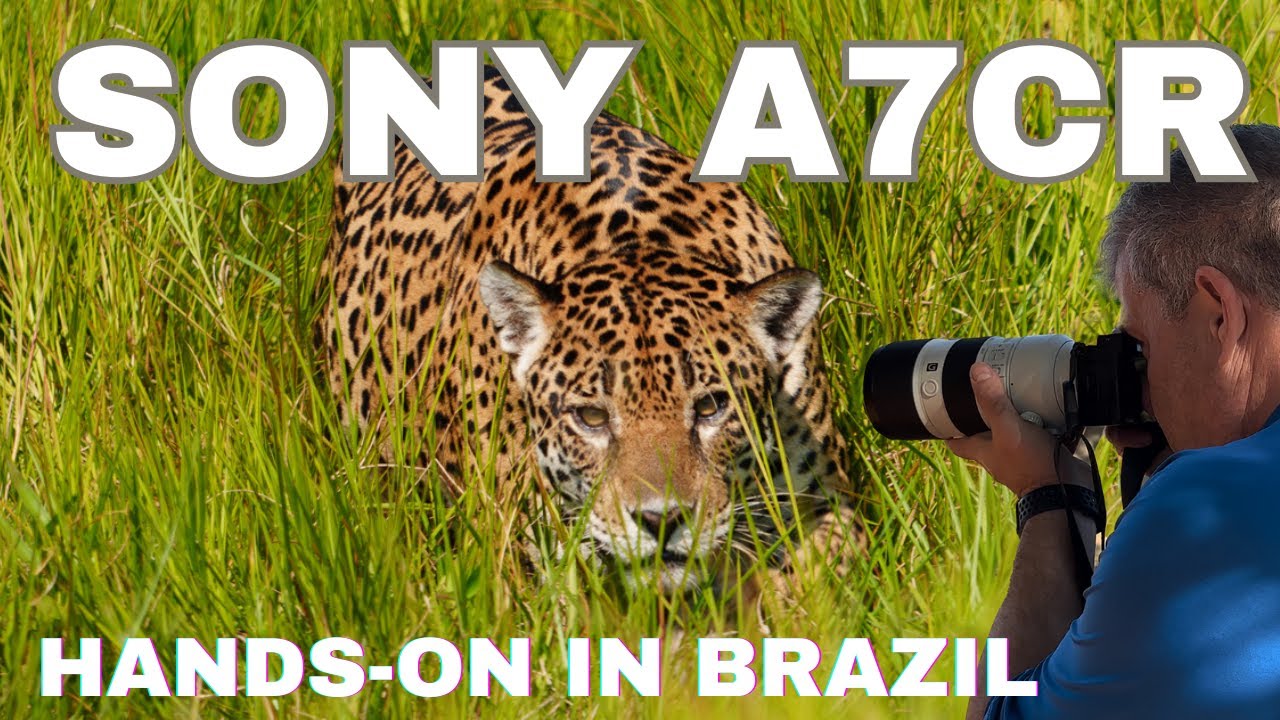 Sony a7cR — практический обзор с сафари в Бразилии — лучшая камера для путешествий, и вот почему