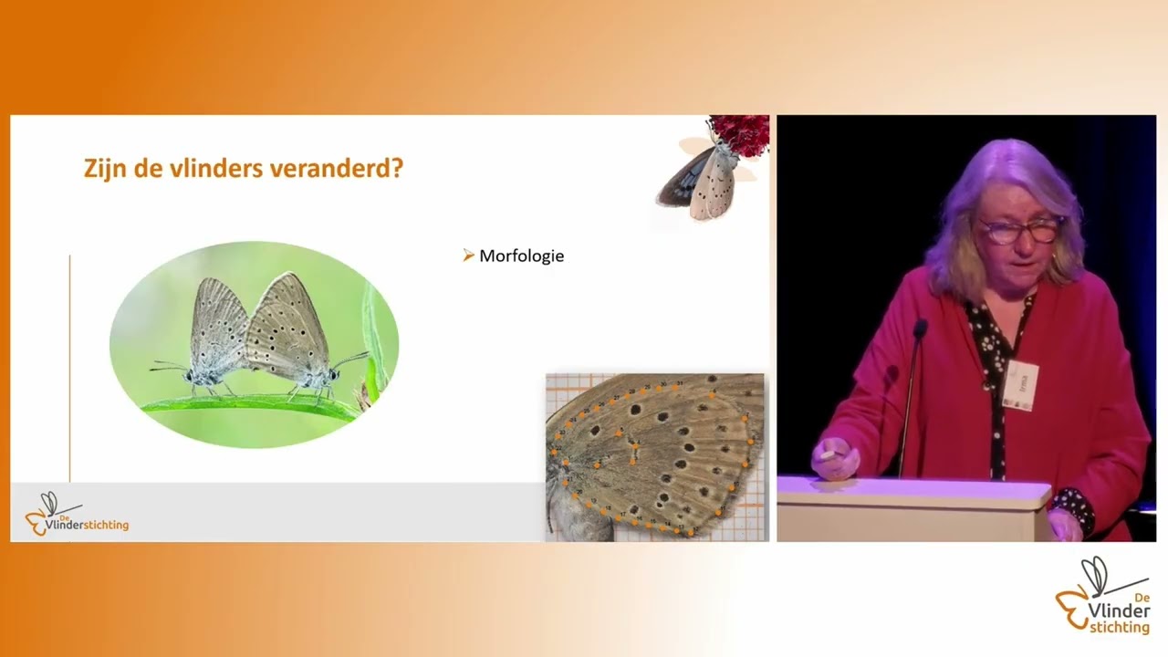 5. Verloren vlinders een handje helpen? - Irma Wynhoff