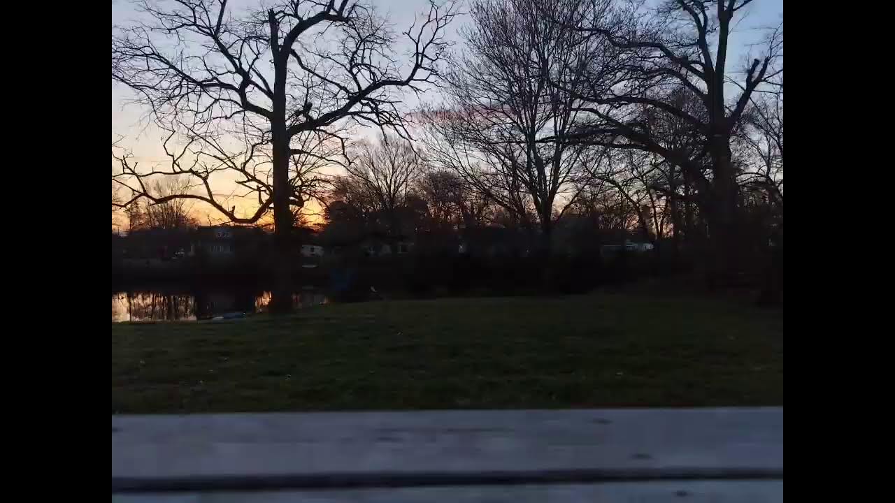 Sunday Sunrise, 15 March 2026 #DoItForRick #Rodverted