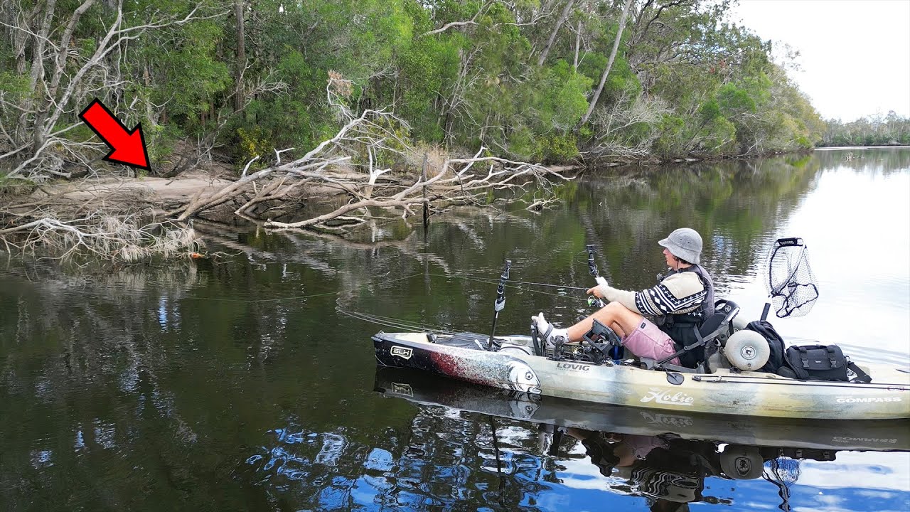This Tiny River has Giant Fish!!