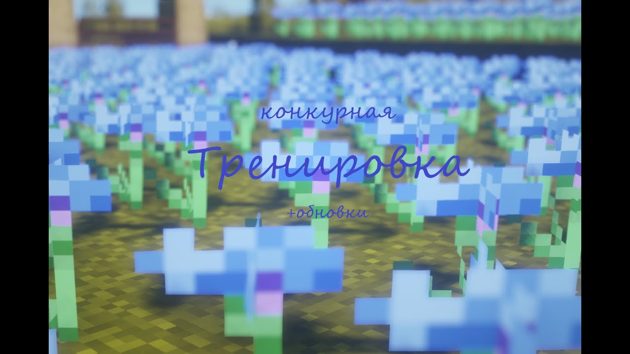 Конкурная Тренировка + обновки ~|~ 📖 3 ~|~