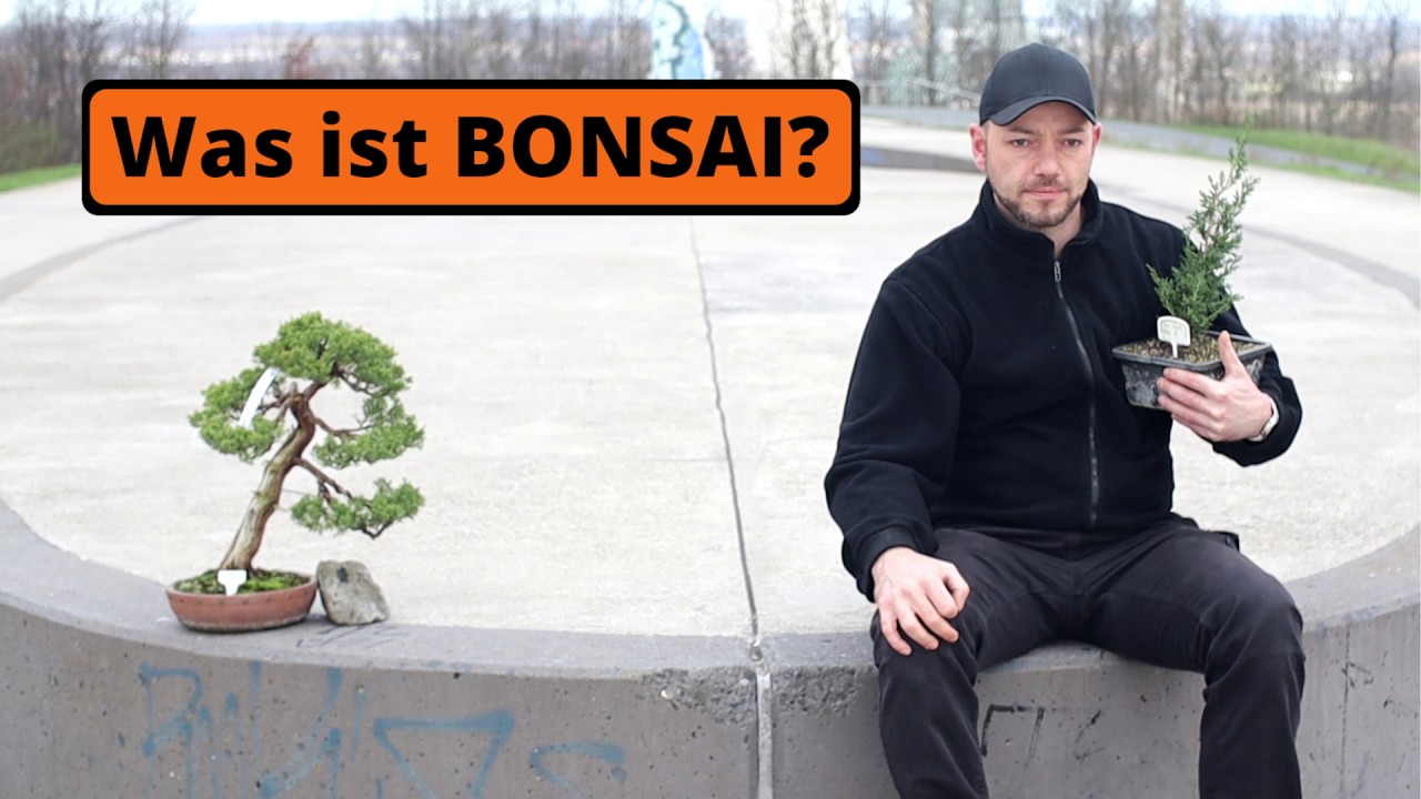 Was ist Bonsai - mit Jarek Lenarczyk [Umtopfen/Drahten] | #191BonsaiVLog