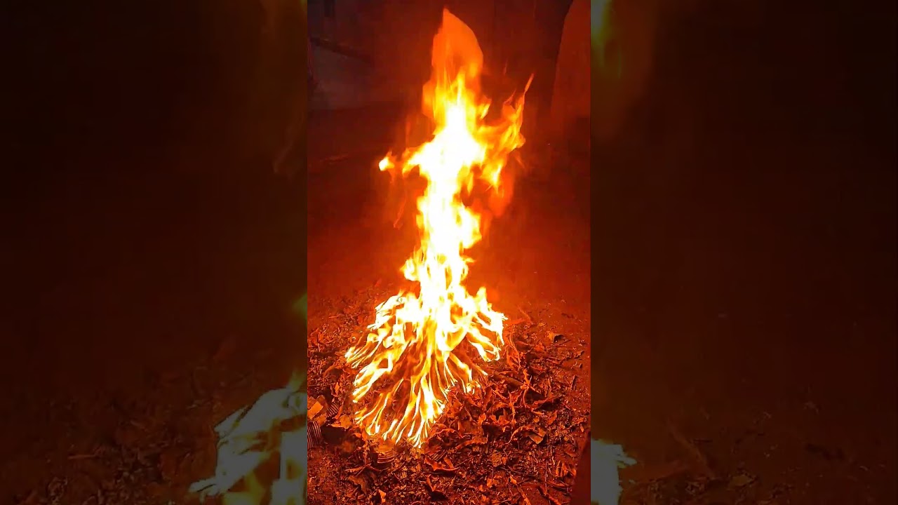 superb fire 🔥 by animal #animalmoviesongs #fire #youtubeshorts