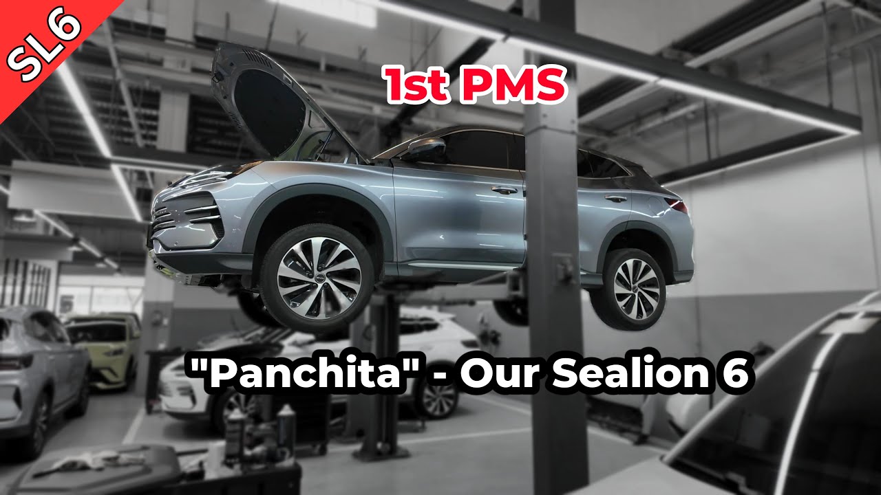 SL6 - 1st PMS of our Sealion 6 