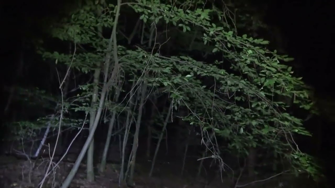 KRALİ&Ccedil;E CİN (PARANORMALMİ ALİ ASLAN SAYFASINDAN)