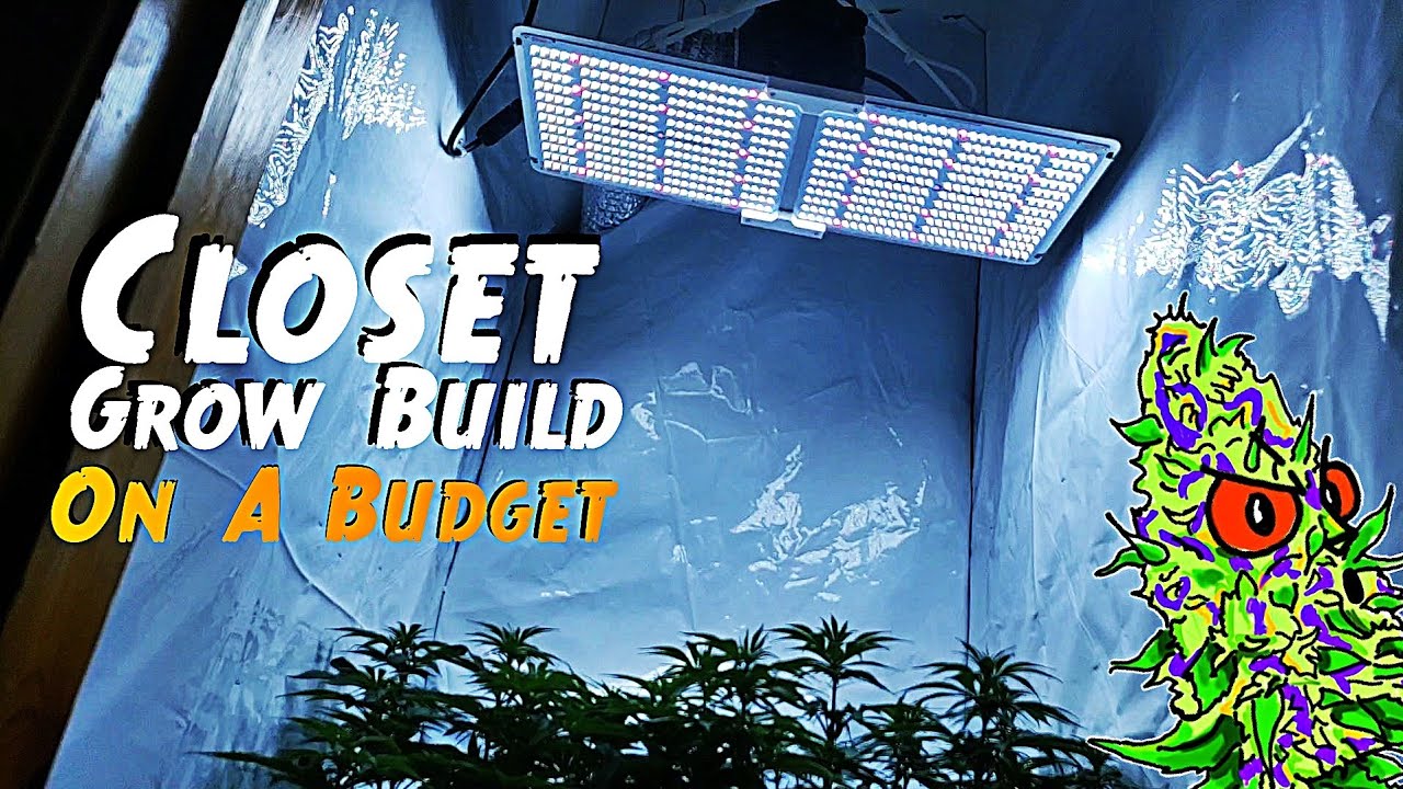 How To Build A Closet Grow Setup | On A Budget (Cost Efficient Under $300)