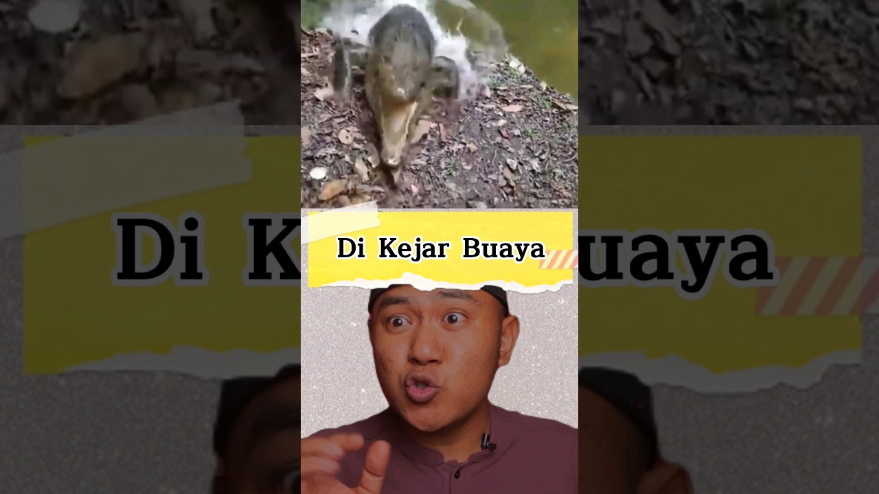 Kaget,, ada buaya galak 