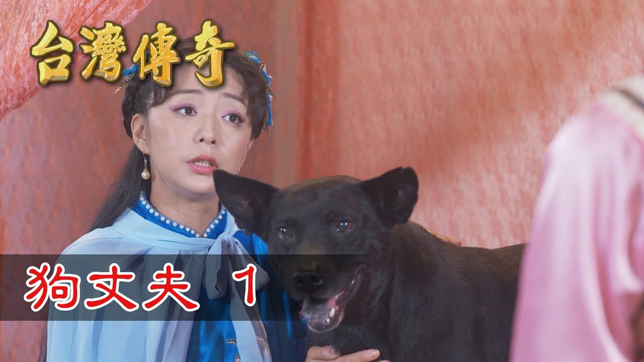 台灣傳奇 EP155 狗丈夫(1)