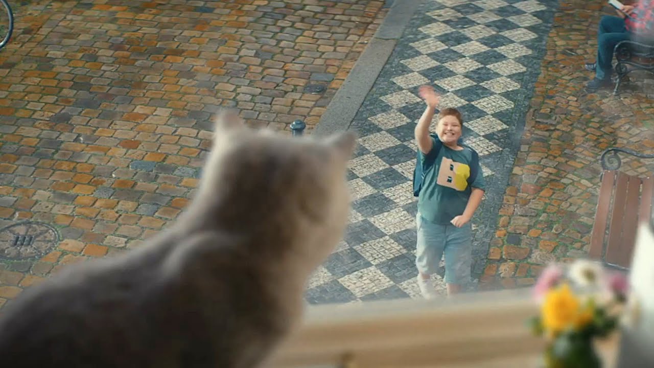 窓辺にいつもいた猫がある日いなくなって…／YKK AP「窓と猫の物語」シリーズCM＋メイキング