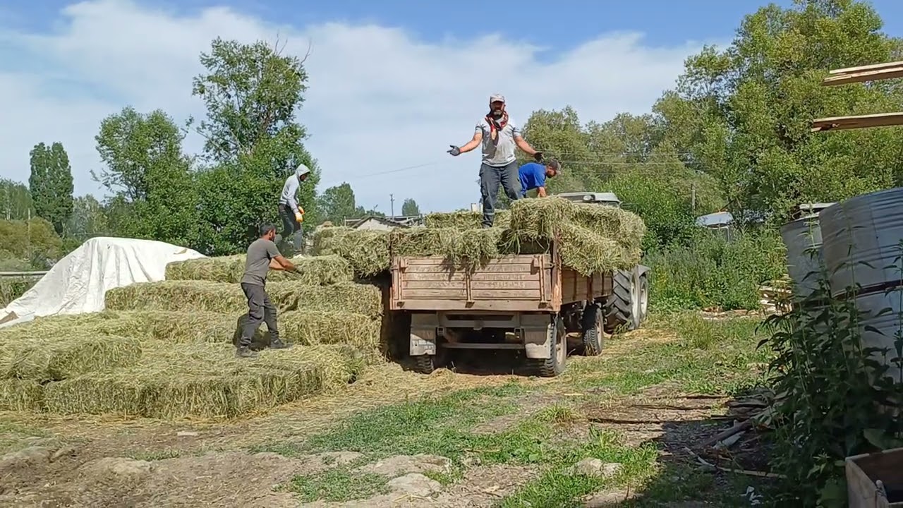 06. 15. ovaçevirme köyü taya yığma