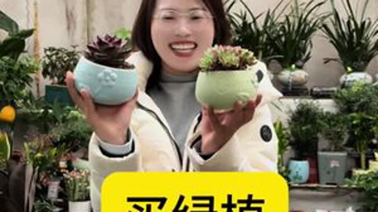 挑来挑去挑了个幸福树，那就祝我们都幸福吧！