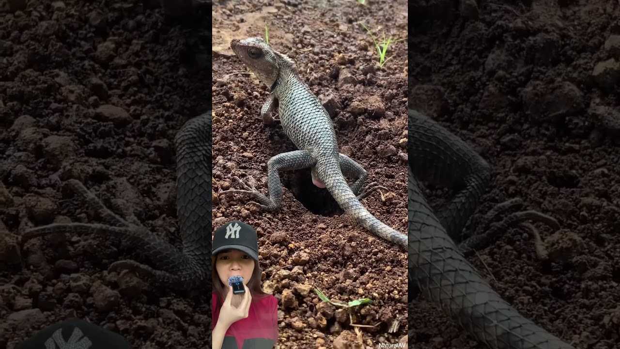 Jangan buang di situ ⁉️