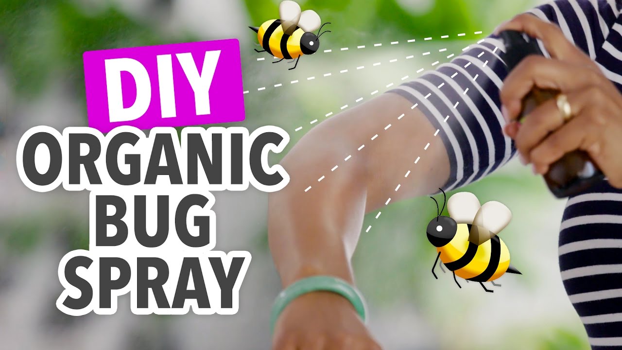 DIY Bug Repellent ~ Organic & Natural - HGTV Handmade