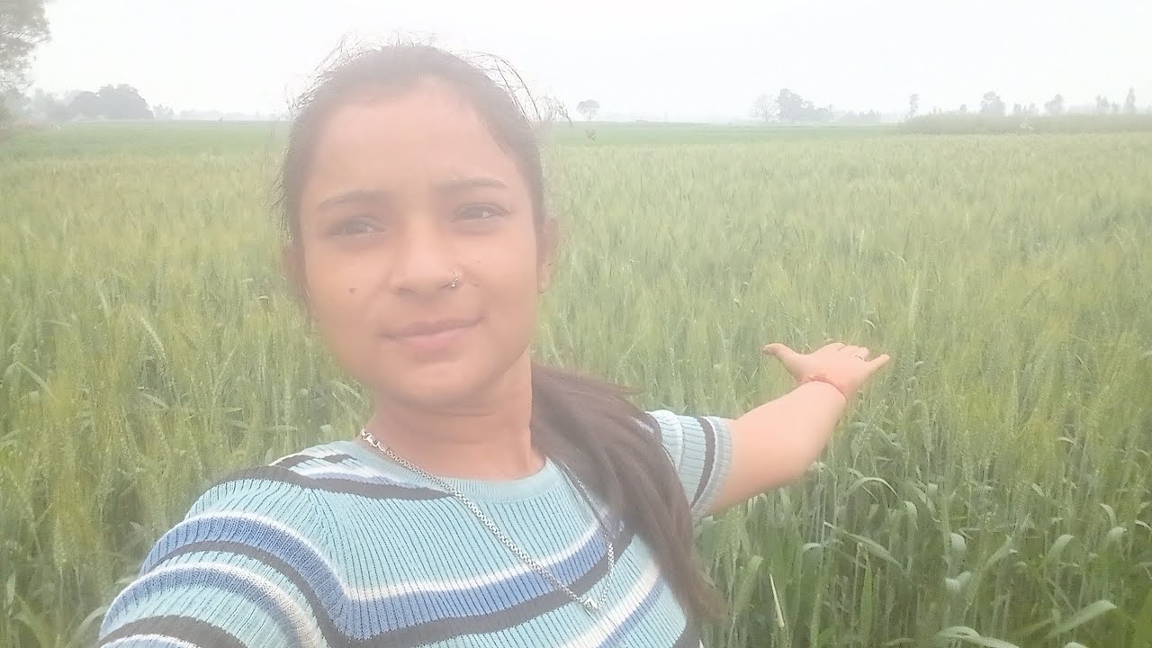 सारी फैसले अच्छी है सभी तरह 🌾#vlog #minivlog #family vlog 