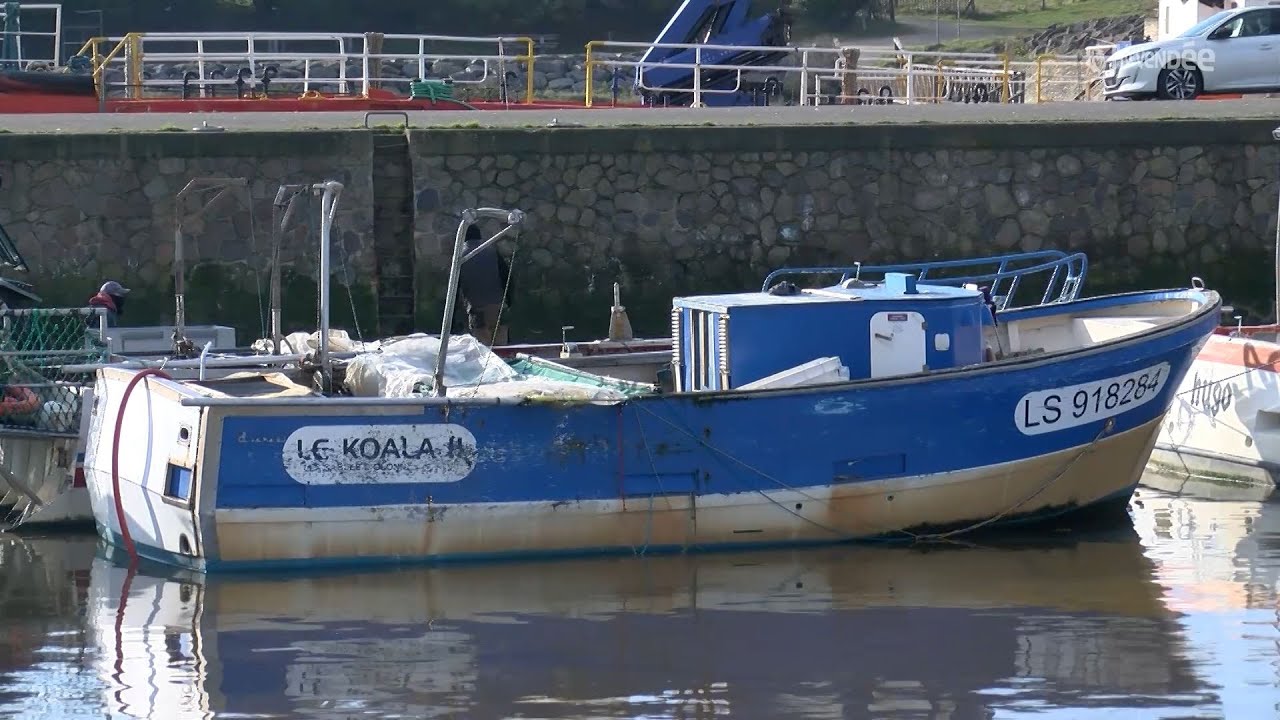 La filière pêche face aux quotas et interdictions de 2024