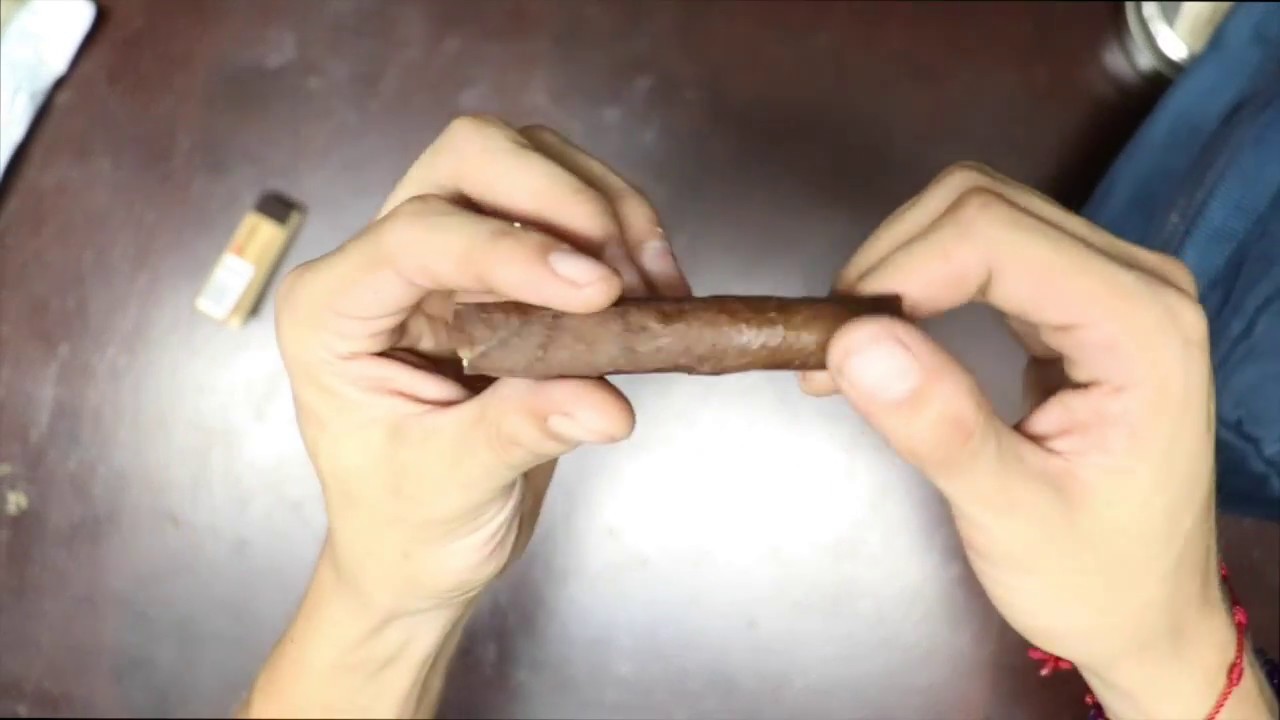 rolling a backwood with a filter
