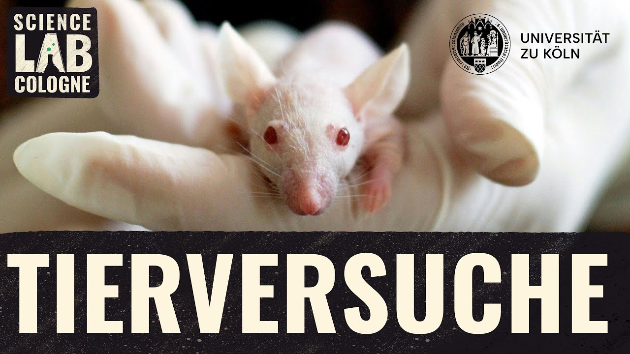 Wann sind Tierversuche rechtlich in Ordnung?