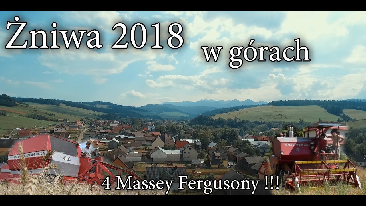 Żniwa 2018 w górach | 4x MF Ursus Zetor |