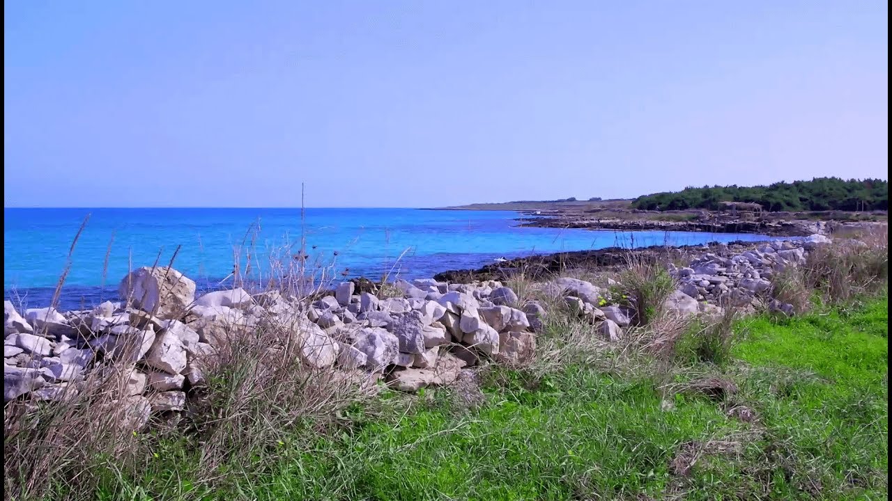 OGNISSOLE SPOT