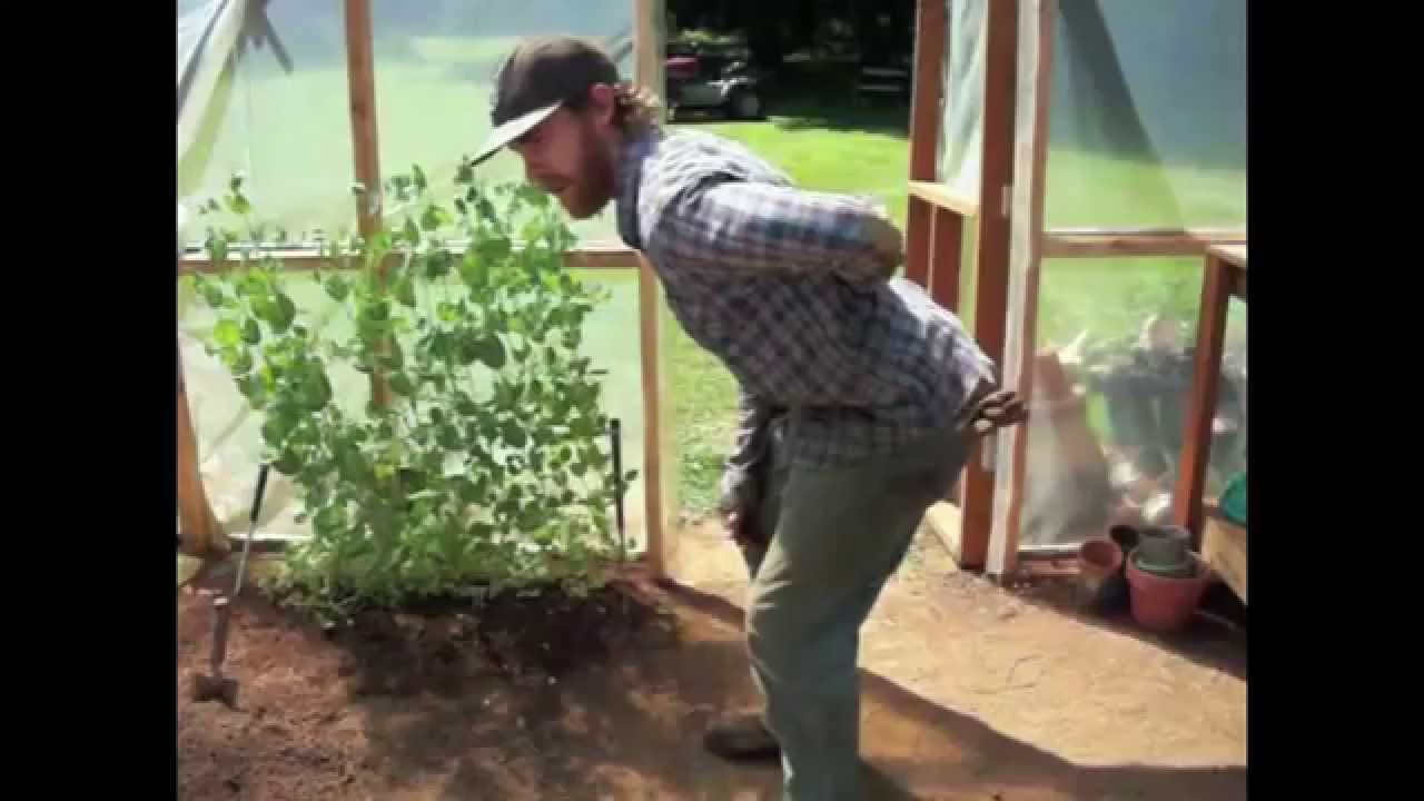 Avoid Back Pain While Gardening - Neutral Pelvis