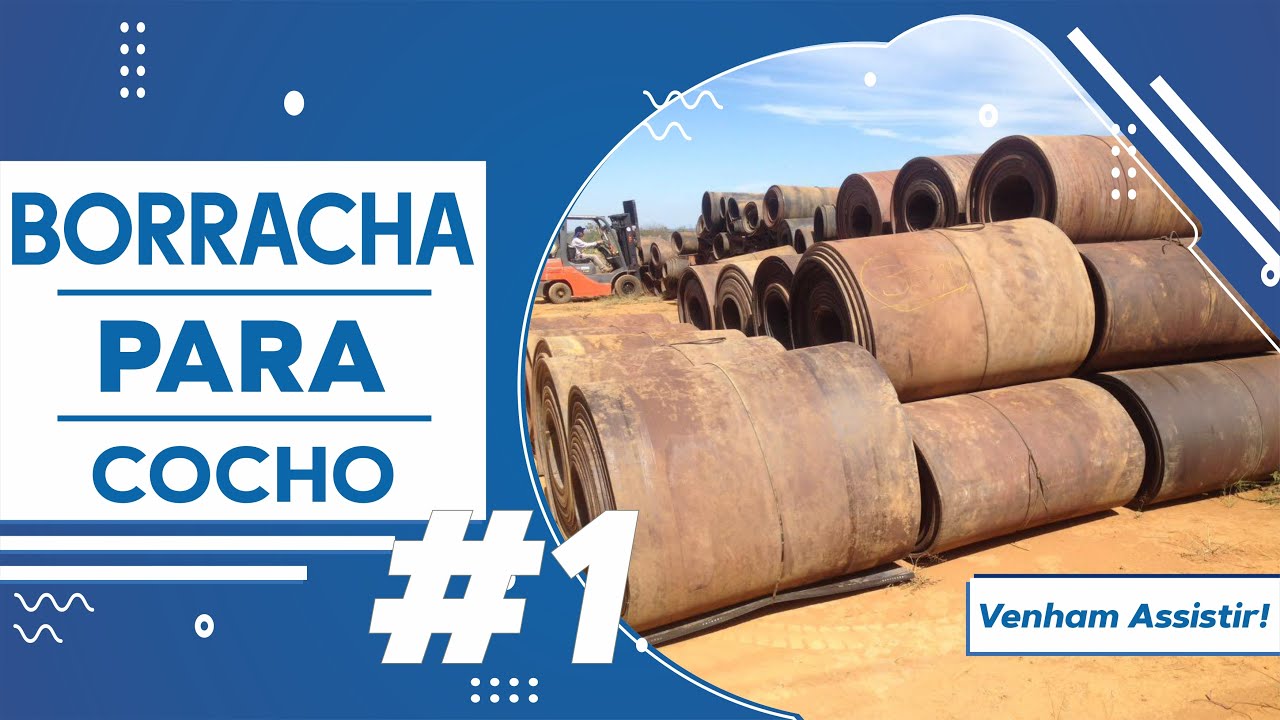 Borracha para Cocho #1