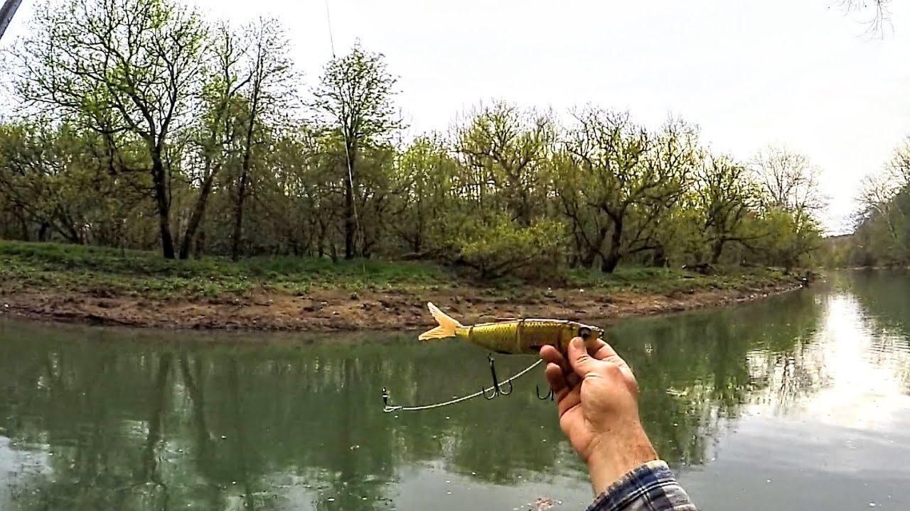 Pennsylvania Musky & Pike Fishing (SURPRISE CATCH!!!) with@absoluteunitmedia