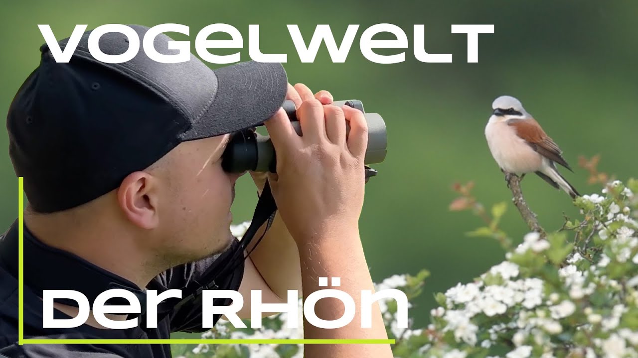 Schwarzstorch, Braunkehlchen und Co - Wanderung durch die Rhön