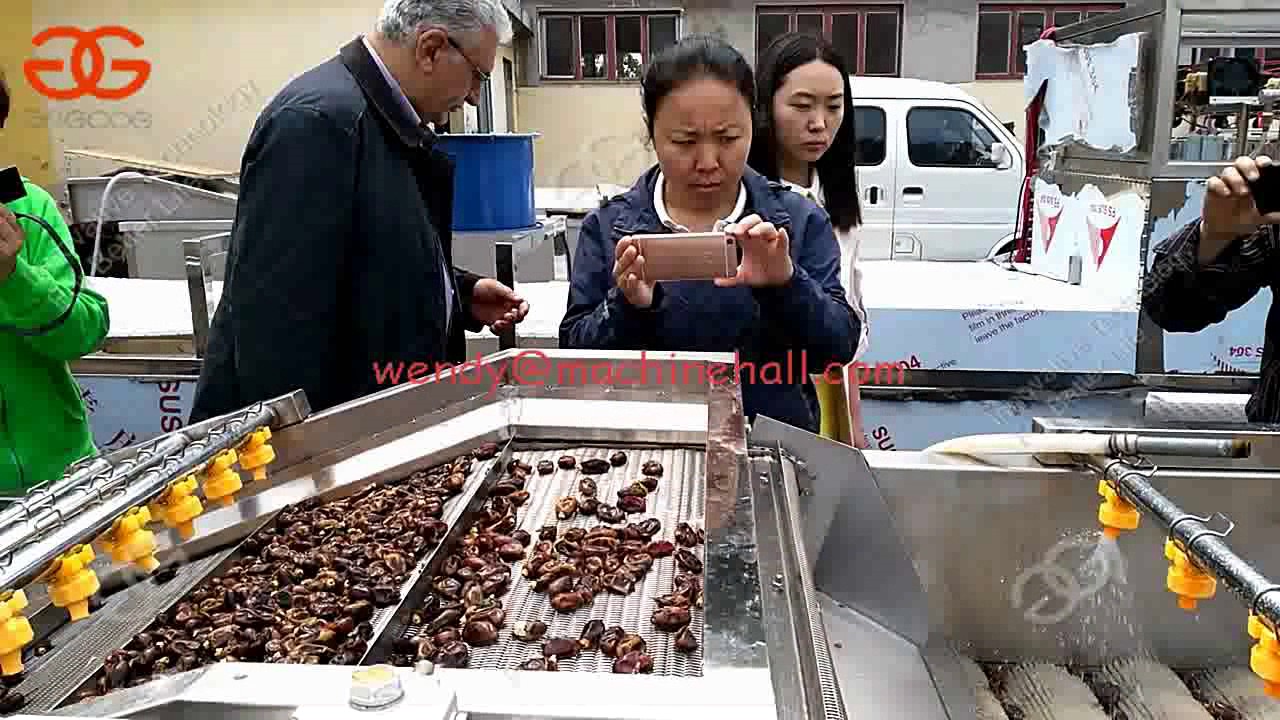 Air Bubble fruit vegetable Washing Machine|Date Palm Washing Machine