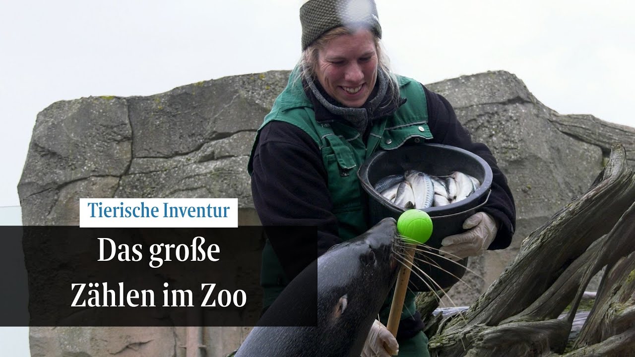 Das große Zählen – oder: Der Zoo am Meer in Bremerhaven macht Inventur | Reportage