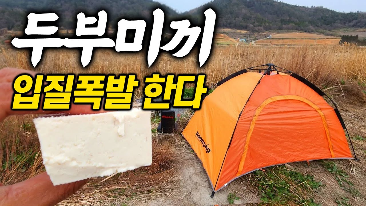 생두부를 미끼로 붕어낚시로 입질 폭발