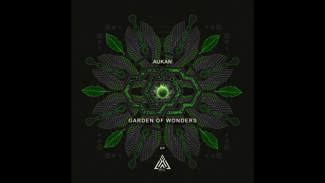 Aukan - The Theory of Everything (Original Mix) Art-X Recordings