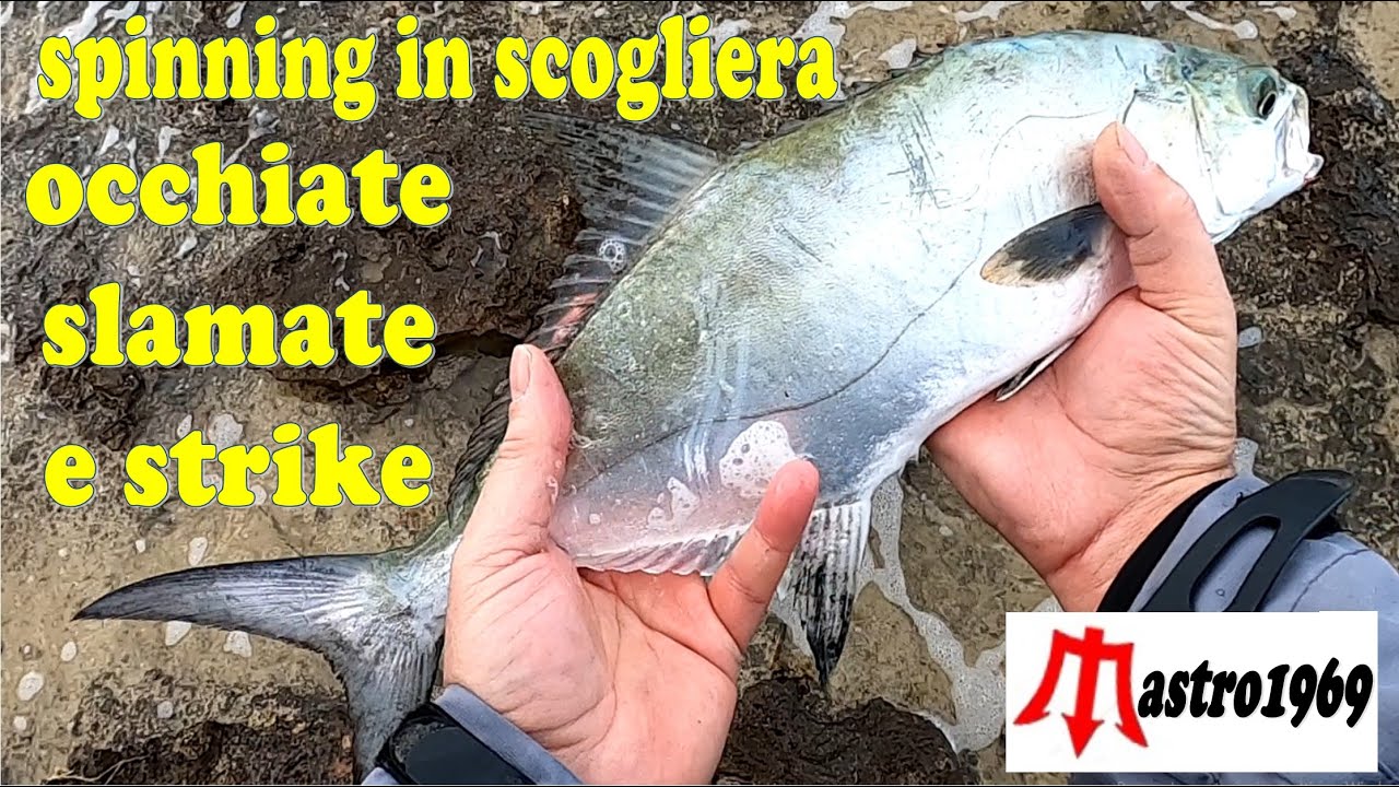 spinning mare occhiate e lecciotta dalla scogliera bassa mare di scirocco montante