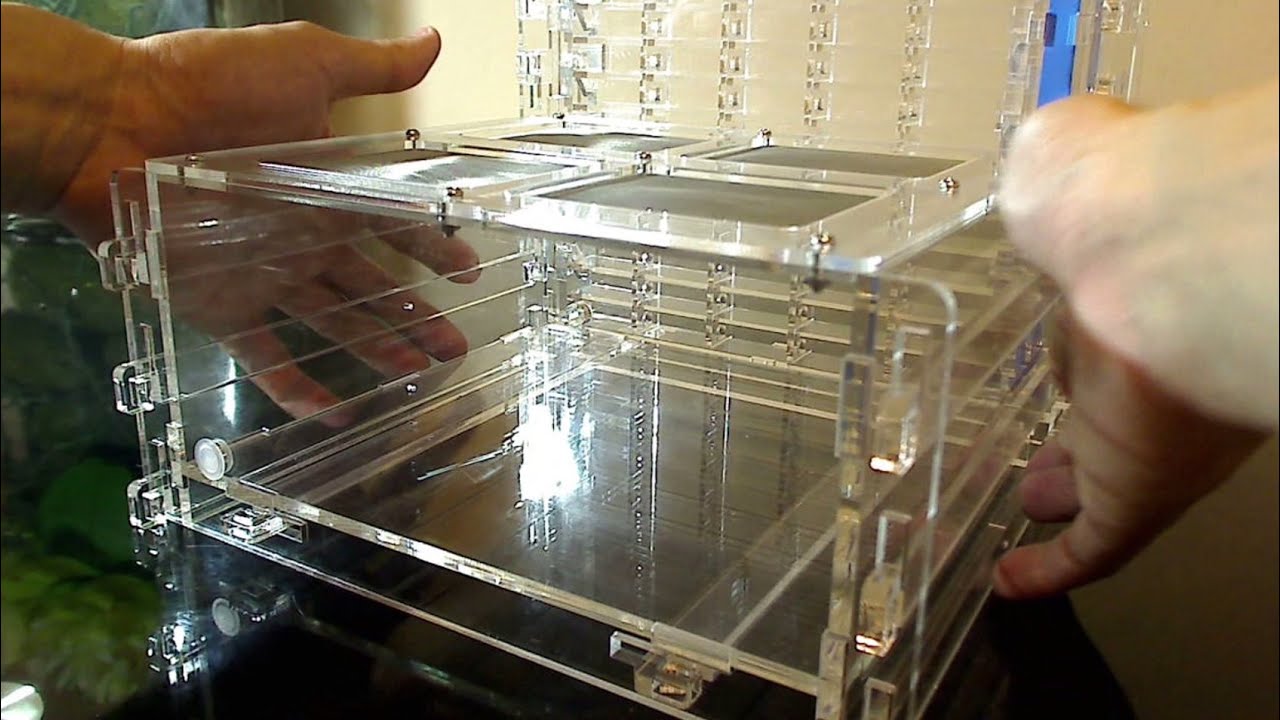 Ant Farm - Omni Nest Vertical Unboxing & Instructional Video