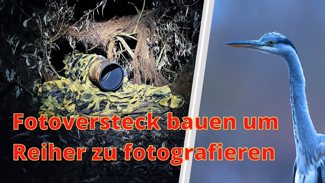 Fotoversteck bauen um Reiher zu fotografiernen