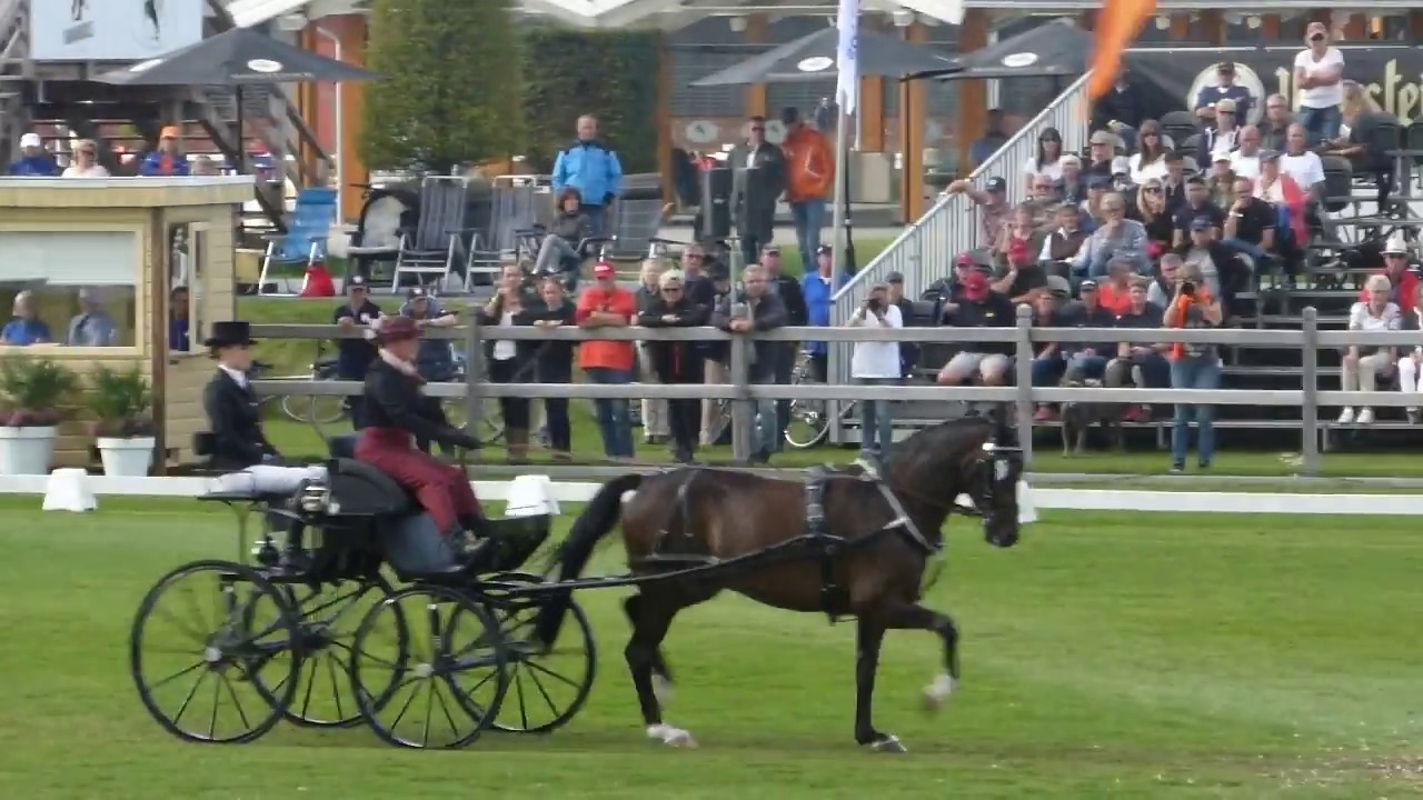 SIEBERS Saskia, NED, CH M A1, Kronenberg, Dressage  31 08 2018