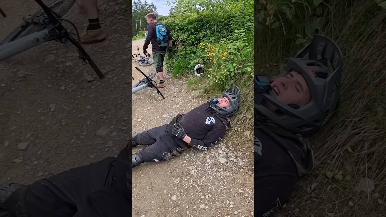 Crash! Wie findet ihr die Reaktion? 🤨