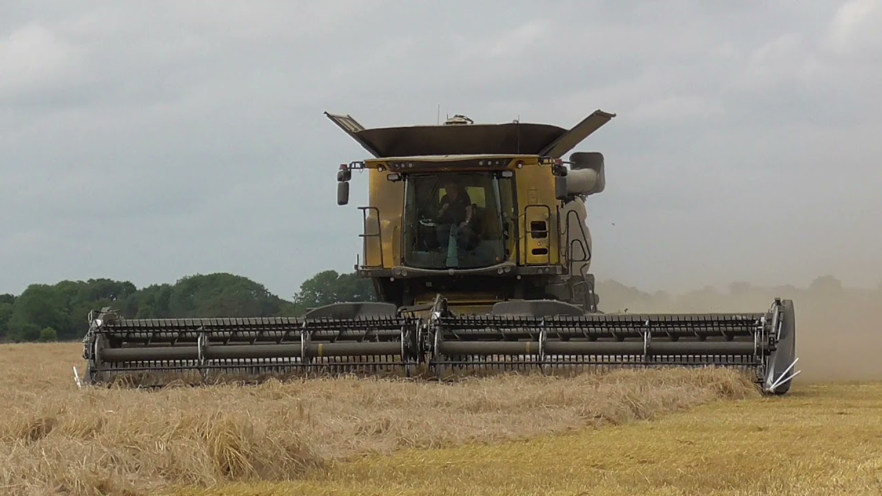 new holland cr9090 with macdon header combining laid barley